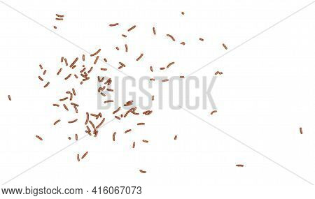Typical Dutch Chocolate Sprinkles (hagelslag), Used On Bread, Cake Or Desserts