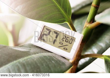 A Device For Measuring Humidity And Temperature And A Plant So Close