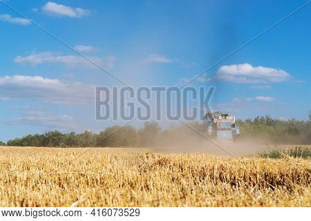 Scenic Landscape Of Ripe Golden Organic Wheat Stalk Field Against Blue Sky On Bright Sunny Summer Da