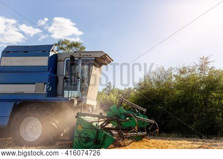 Scenic Landscape Of Ripegolden Organic Wheat Stalk Field Against Blue Sky On Bright Sunny Summer Day