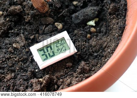 A Device For Measuring Humidity And Temperature And A Plant So Close
