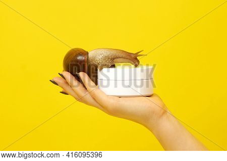 The Girl On Her Hand Holds A White Jar With A Snail On A Yellow Background