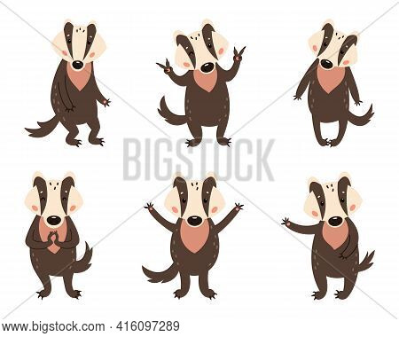 Badger On A White Background. Forest Animal. Vector Illustration Of Brock Mammal Species