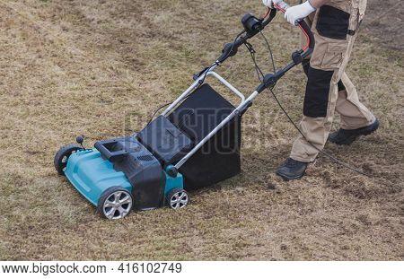Scarifying Lawn With Scarifier, Man Gardener Scarifies The Lawn And Removal Of Old Grass
