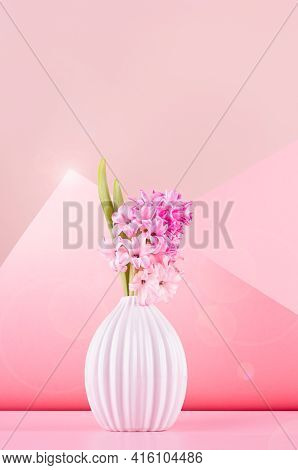 Bright Spring Hyacinth Flowers In White Ceramic Vase In Sun Light With Sun Flare In Elegant Geometri