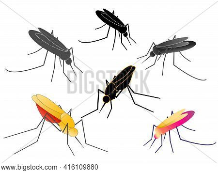 Different Anopheles Mosquitoes Set. Flat Vector Illustration.