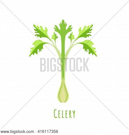 Single One Celery Stalk Isolated On White