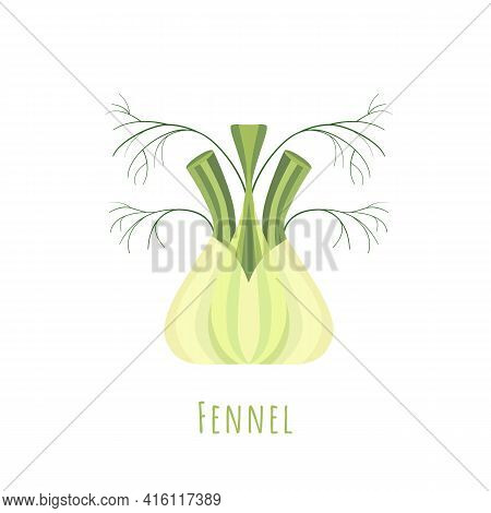 Single One Isolated On White Fennel Bulb