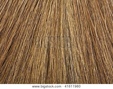 Grunge background texture dell'erba secca