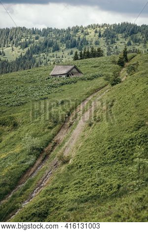 A Herd Of Sheep Grazing On A Lush Green Hillside