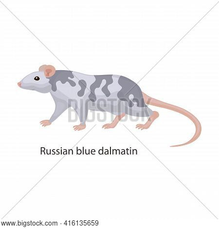 Rat Vector Icon.cartoon Vector Icon Isolated On White Background Rat.
