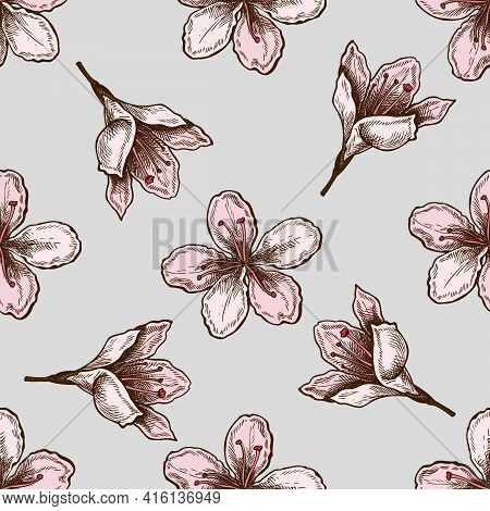 Seamless Pattern With Hand Drawn Colored Plum Flowers Stock Illustration