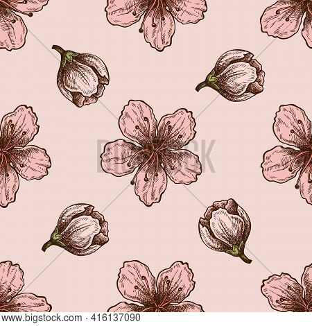 Seamless Pattern With Hand Drawn Colored Peach Flowers Stock Illustration
