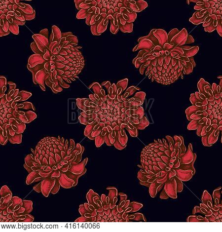 Seamless Pattern With Hand Drawn Colored Etlingera Stock Illustration