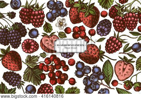Colored Elements Design With Strawberry, Blueberry, Red Currant, Raspberry, Blackberry Stock Illustr