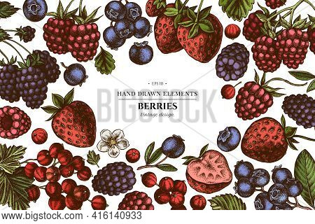Colored Elements Design With Strawberry, Blueberry, Red Currant, Raspberry, Blackberry Stock Illustr