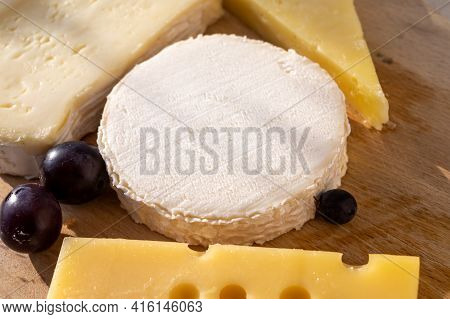 French Cheese Collection On Marble Board, Emmental, Carre De Aurillac, Petit Cantal Aop Jeune, Buche