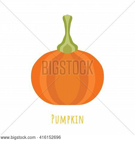 Single One Pumpkin Fruit Isolated On White