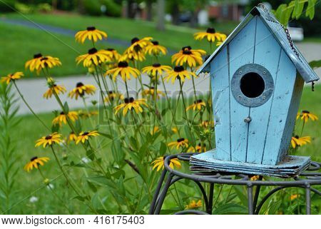 Blue Decretive Birdhouse Surrounded By Black Eyed Susan Flowers