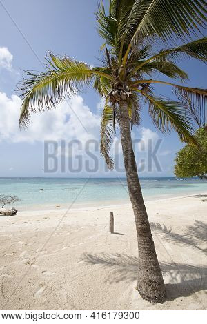 Morrocoy National Park, Paradise Islands With Coconut Trees, White Sand Beaches, Turquoise Ocean And
