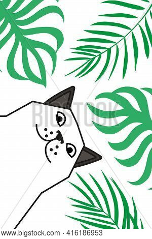 Cat Tells You To Wake Up On The Beach Under Palms