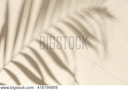 Summer Minimal Background With Shadow From Natural Palm Leaf On Light Yellow Paper With Copy Space. 