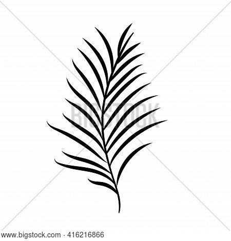 Tropical Leaf Silhouettes Isolated On White Background. Chamaedorea. Vector Illustration.