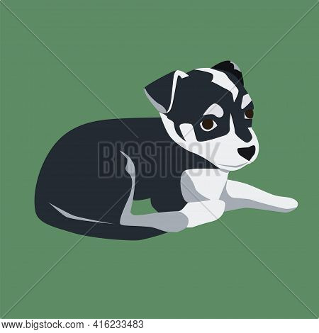 Little Black And White Dog Like Jack Russel Terrier In The Flat Style Vector Illustration