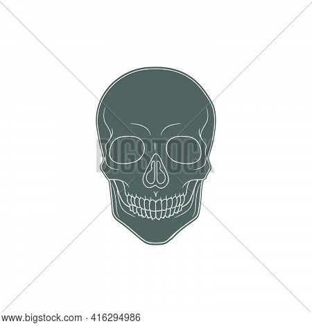 Human Skull Vector Icon Drawing