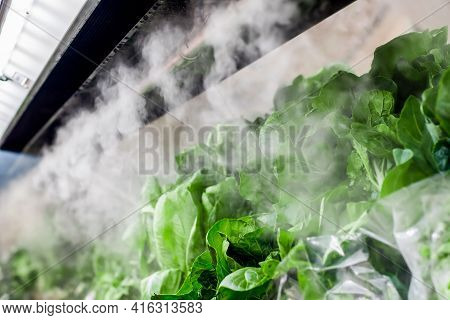 Fresh Salad At The Supermarked Sprayed With Mist Water From The Mini Nozzles To Keep It More Appeali