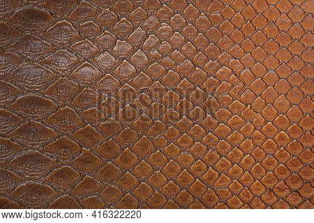 Snakeskin Leather And Texture Background. Skin Pattern Background. Top View.
