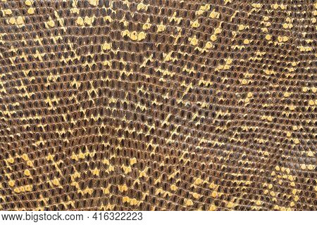 Snakeskin Leather And Texture Background. Skin Pattern Background. Top View.