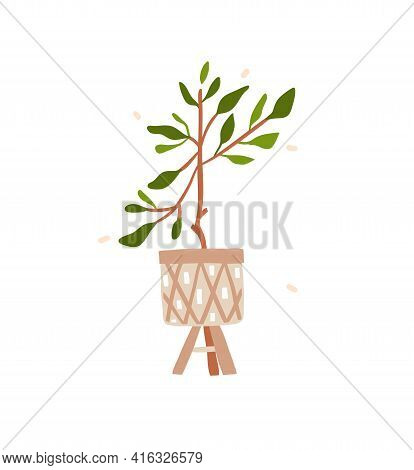 Hand Drawn Vector Abstract Stock Graphic Bohemian Clipart Illustration With Beauty, Urban Home Scand