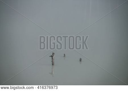 Atmospheric Misty Nature Background With Group Of Trees Trunks In Lake Water Surface. Many Snags In 