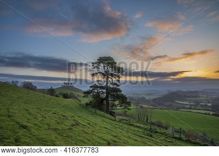 Beautiful Vibrant Sunrise Landscape Image Of Colmer's Hill In Dorset On A Spring Morning