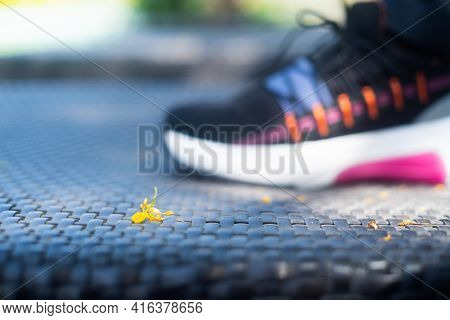 Macro Shot Showing Small Fallen Flower On A Wickerware Mat With A Colorful Sneaker Shoe Of A Strong 