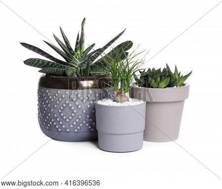 Different House Plants In Pots Isolated On White