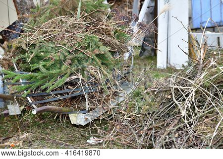 Spring Cleaning In The Garden At The Cottage From Branches And Dry Grass