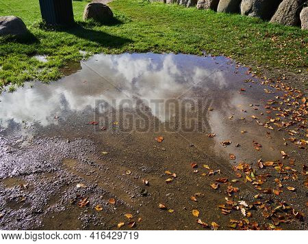 Bushes And Clouds Reflected In A Puddle In The Street With Clear Spcae For Graphics And Text