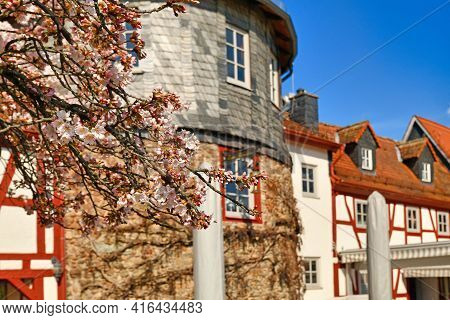 Blooming Japanese Cherry Blossom Trees At Old Historic Square With Tower And City Wall Of Hofheim Ca