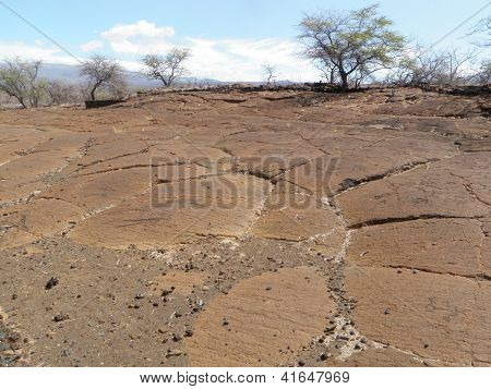 在夏威夷大岛上的本机夏威夷雕刻