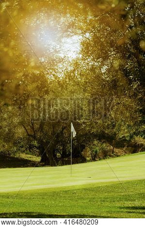 Sunny Golf Green With Its Flag And Olive Trees