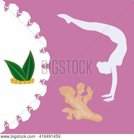 Ginger Root, Yoga, Female Figure, Measuring Tape - Vector. Medicinal Plant. Beauty And Health. Slimm