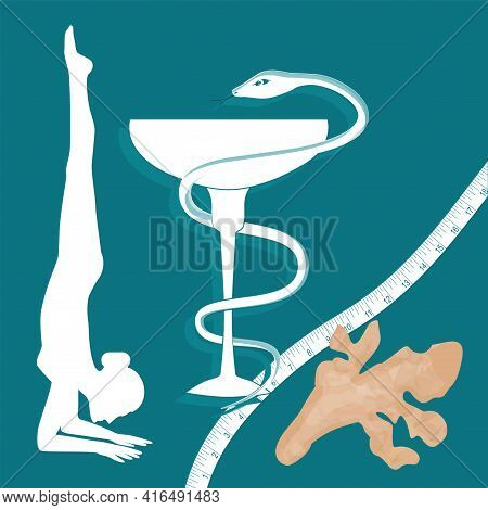 Ginger Root, Yoga, Female Figure, Elbow Stand Measuring Tape, Pharmacy Symbol - Bowl And Snake - Vec
