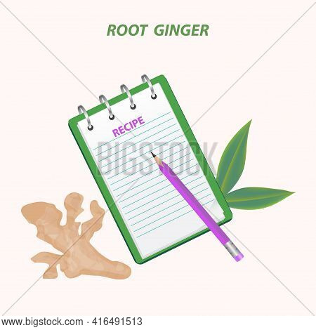 Ginger Root, Recipe Board, Pencil - Vector. Medicinal Plant. Beauty And Health. Slimming Drink