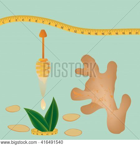 Ginger Slices And Root, Honey Drips With Drops From A Scoop, Measuring Tape - Vector. Medicinal Plan