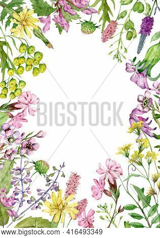 Watercolor Wildflowers Frame. Field Flowers Template. Meadow Herbs And Flowers.