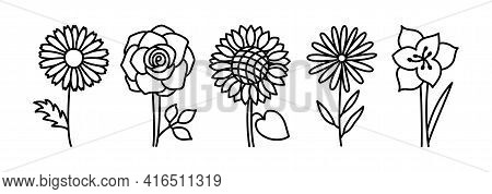 Flowers Black And White Sketch. Doodle Vector Set. Hand Drawn Line Floral Collection. Chamomile, Ros