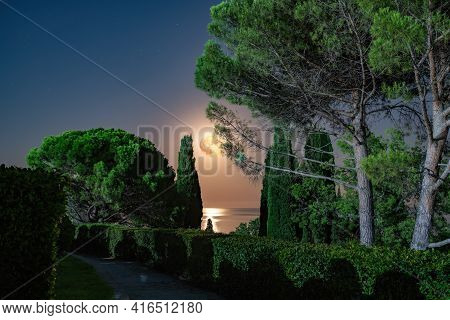 Landscape Of Night Park On Sea Shore With Clear Sky With Red Fool Moon, Dark Tone. Tranquil Park And