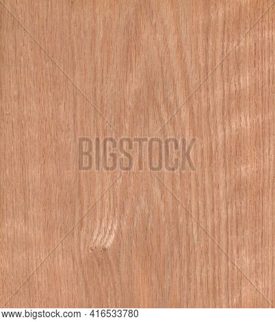 Red Oak, Brown Color Wood Wall Material Burr Surface Texture Background Pattern Abstract Wooden, Top
